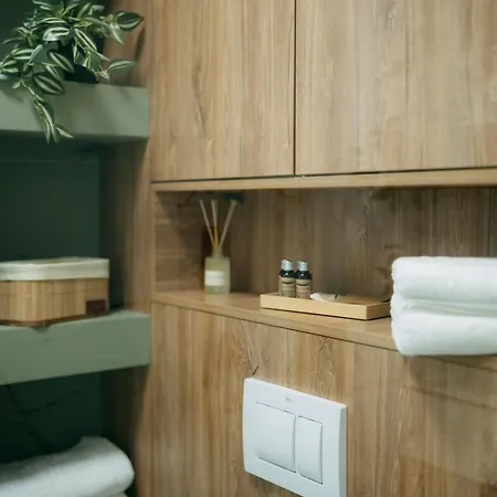 Sxb Skyline Luxury * 브라쇼브