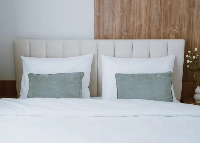 Sxb Skyline Luxury *